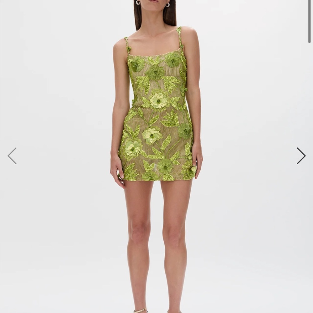 Rachel Gilbert Pierre Mini Dress - Picture 4 of 10